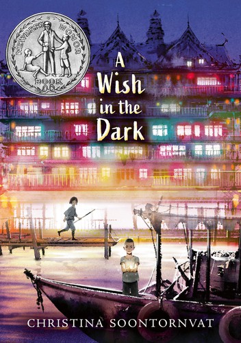 Cover of A Wish in the Dark