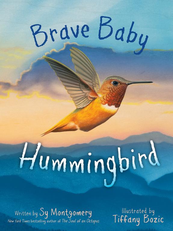 Cover of Brave Baby Hummingbird