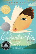 Cover of Enchanted Air